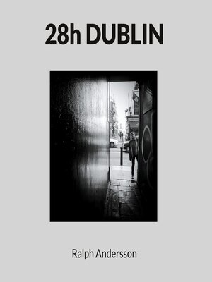 cover image of 28h DUBLIN